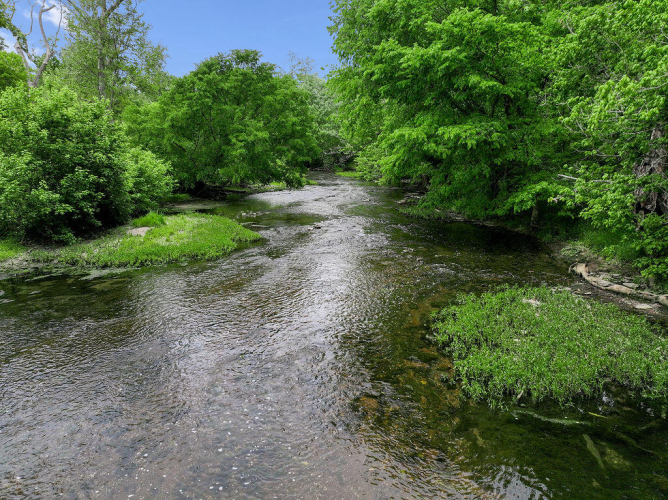 Listing Image 79