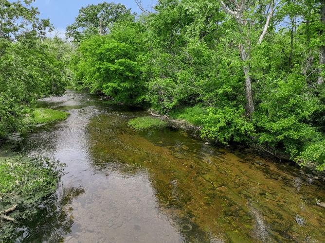 Listing Image 81