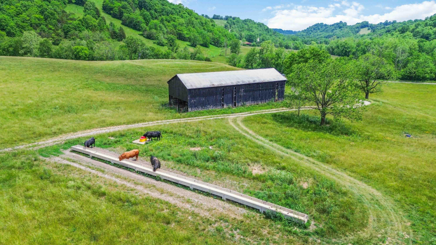 Listing Image 13