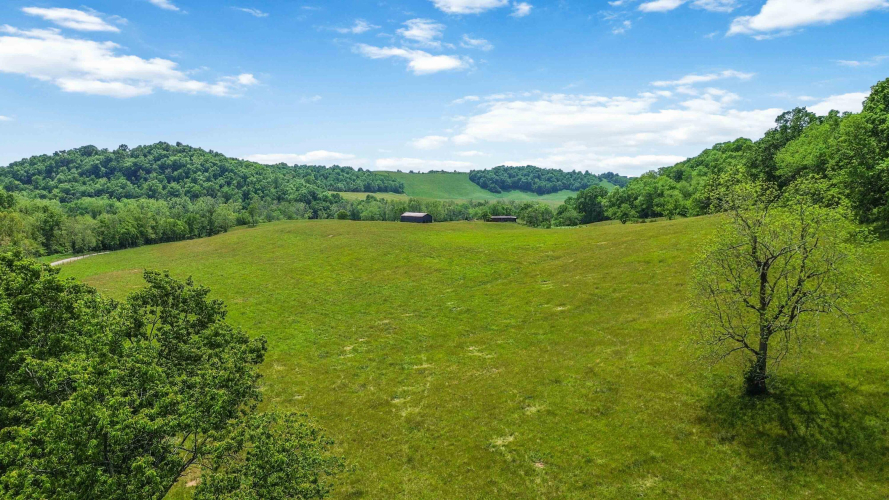Listing Image 17