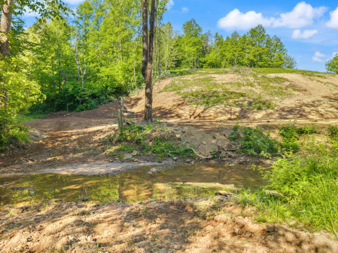 Listing Image 24