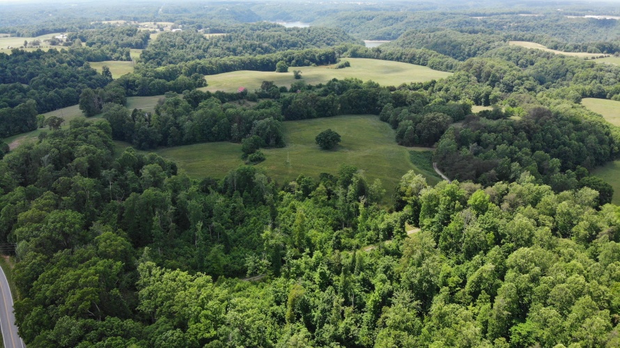 Listing Image 18
