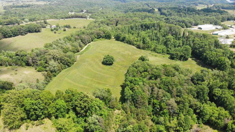 Listing Image 5