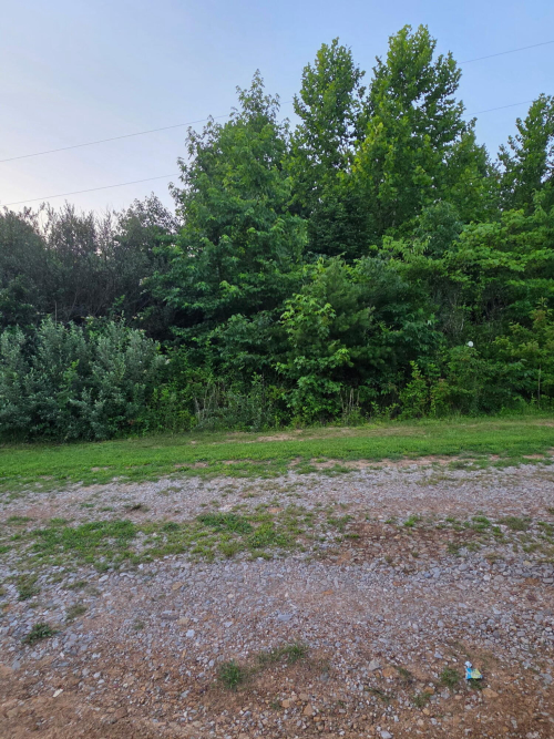 Listing Image 42