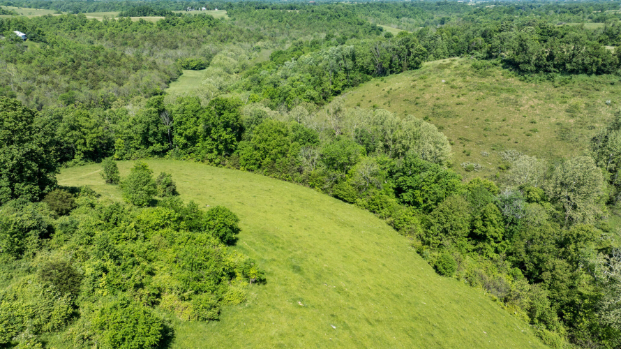 Listing Image 45