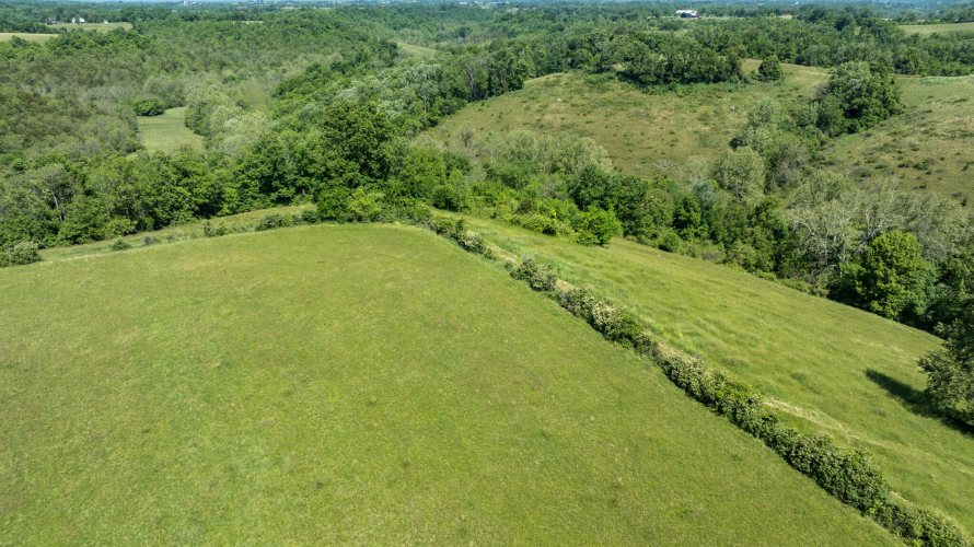 Listing Image 46