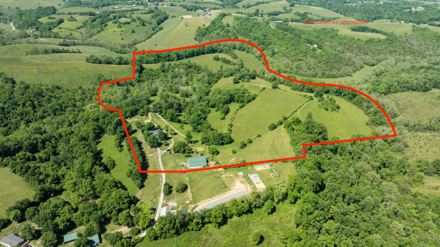 Listing Image 6
