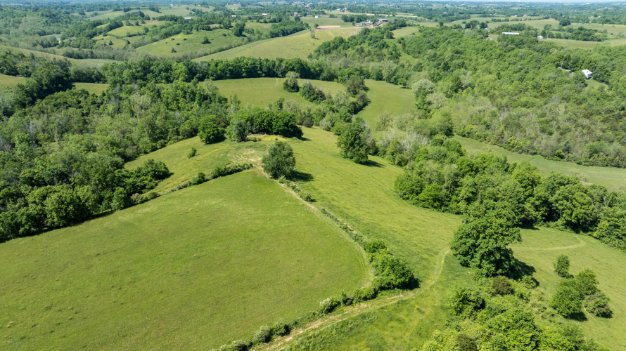 Listing Image 59