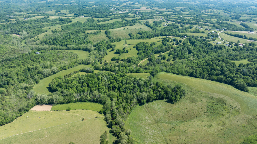 Listing Image 65