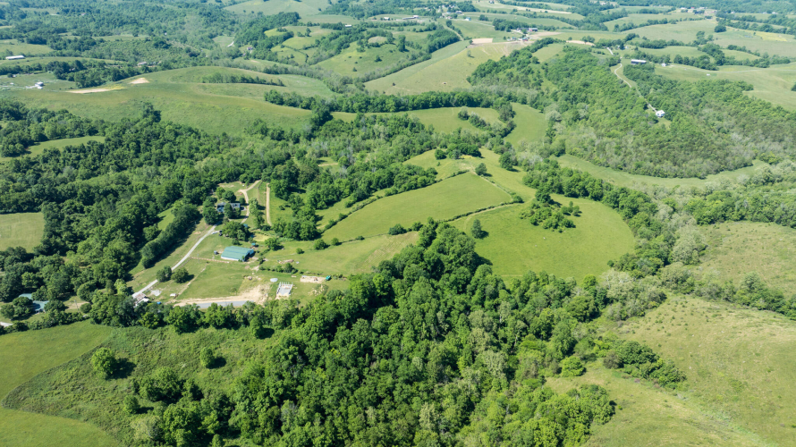 Listing Image 69