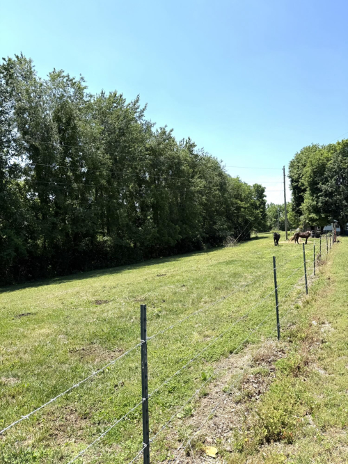 Listing Image 78