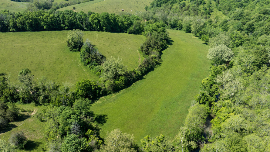 Listing Image 36