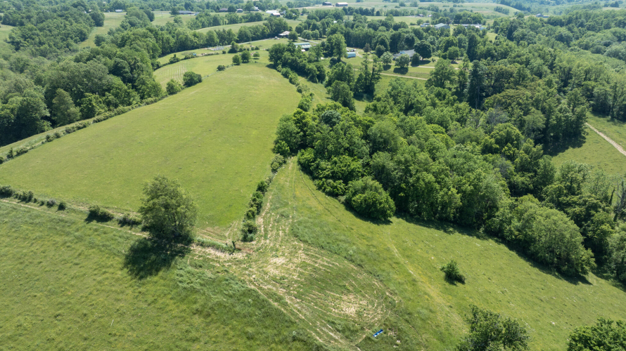 Listing Image 39