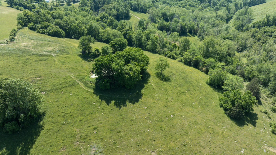 Listing Image 41