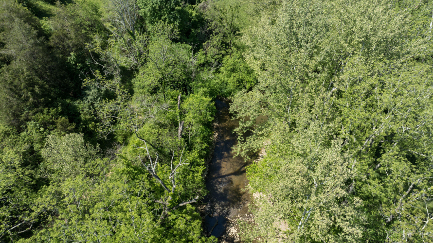 Listing Image 42
