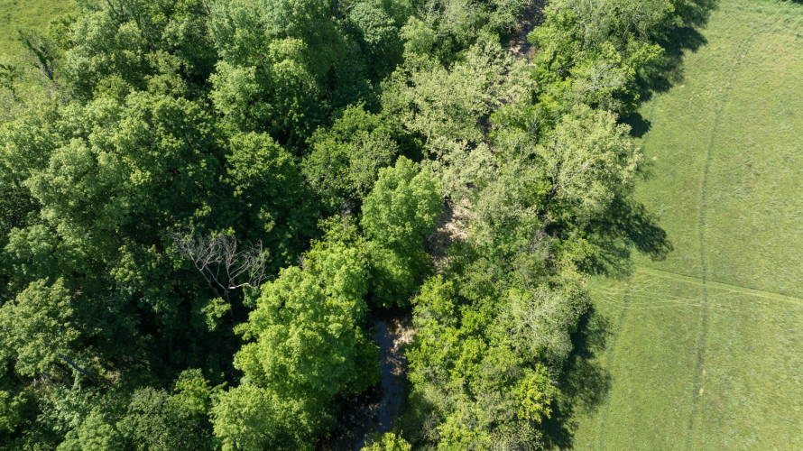 Listing Image 43