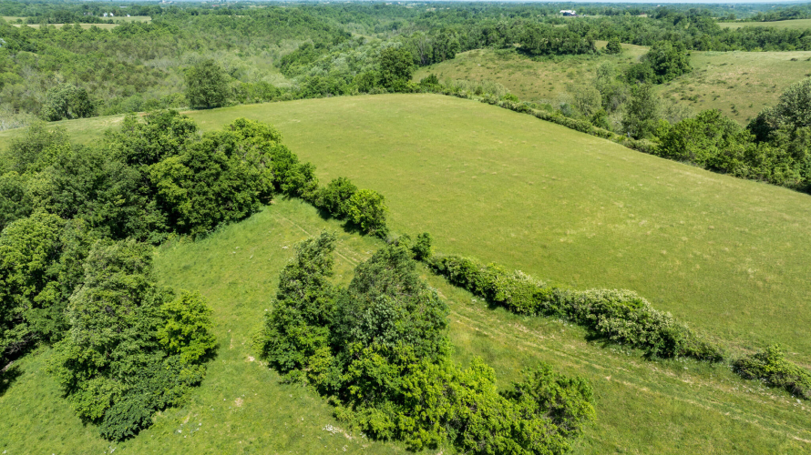 Listing Image 47