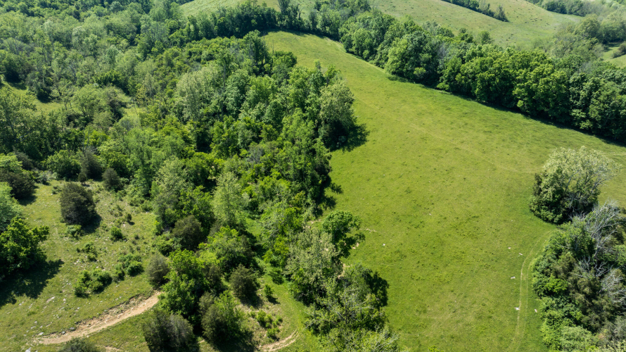 Listing Image 53