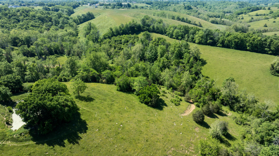 Listing Image 55