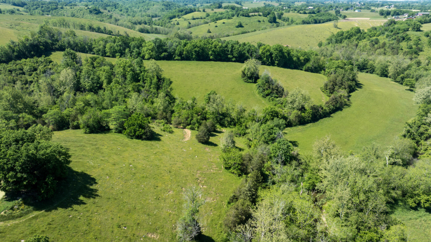 Listing Image 56