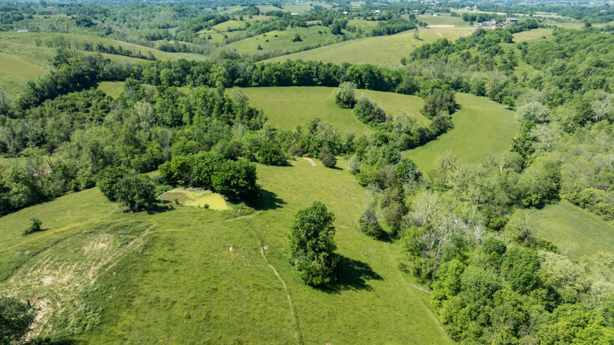Listing Image 57