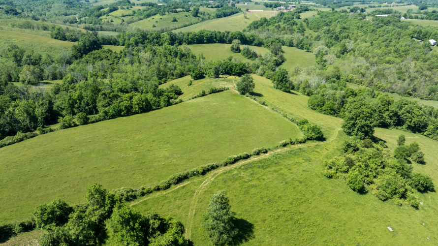 Listing Image 60