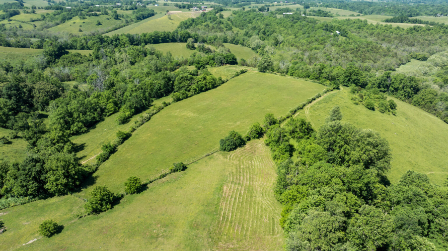 Listing Image 61