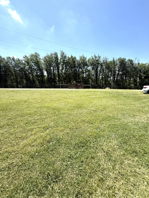 Listing Image 76