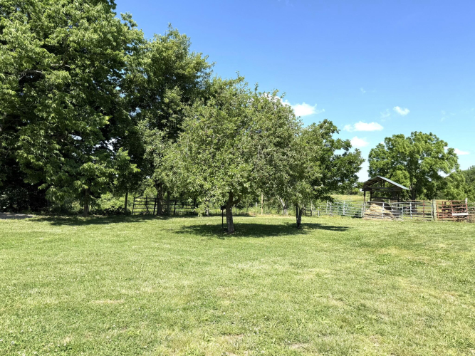 Listing Image 77