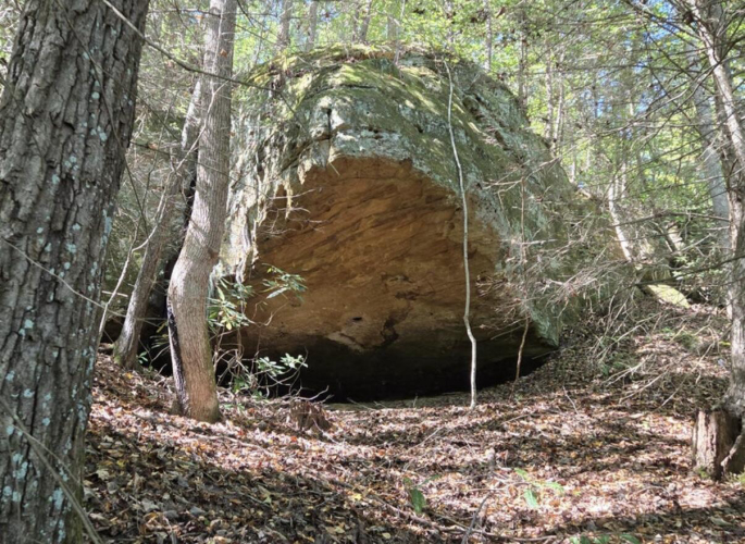 Listing Image 13