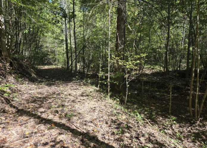 Listing Image 14