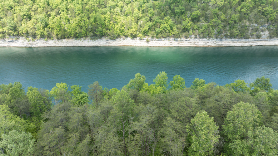 Listing Image 24