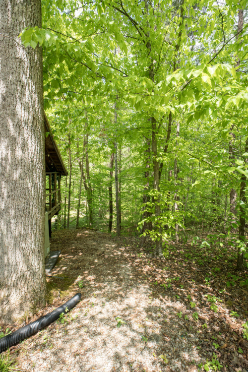 Listing Image 36