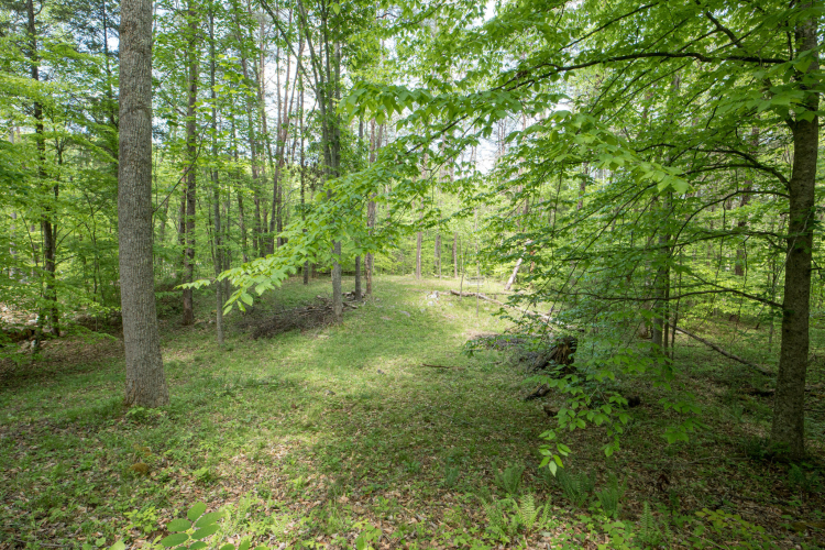 Listing Image 40