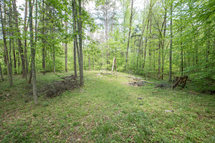 Listing Image 43