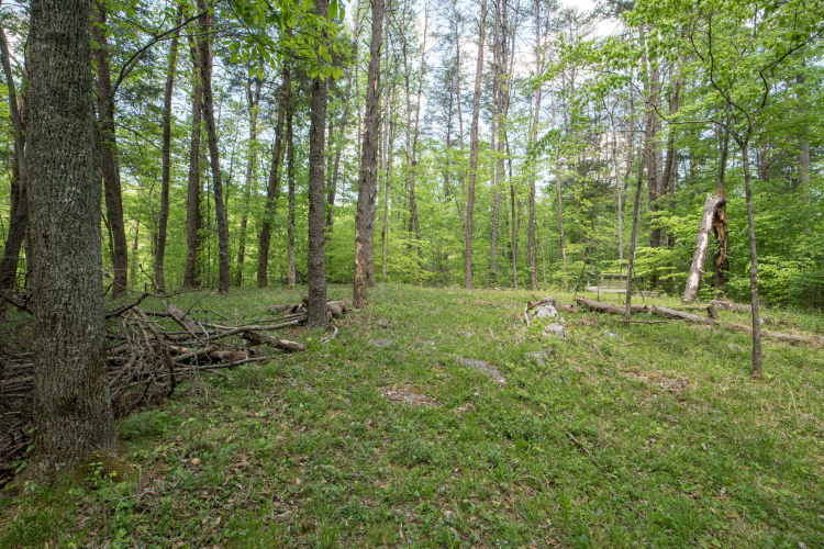 Listing Image 45