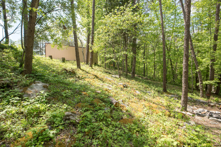 Listing Image 47