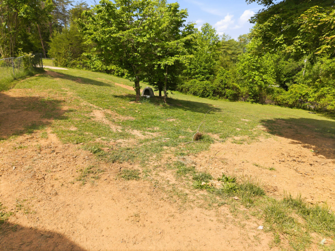 Listing Image 49