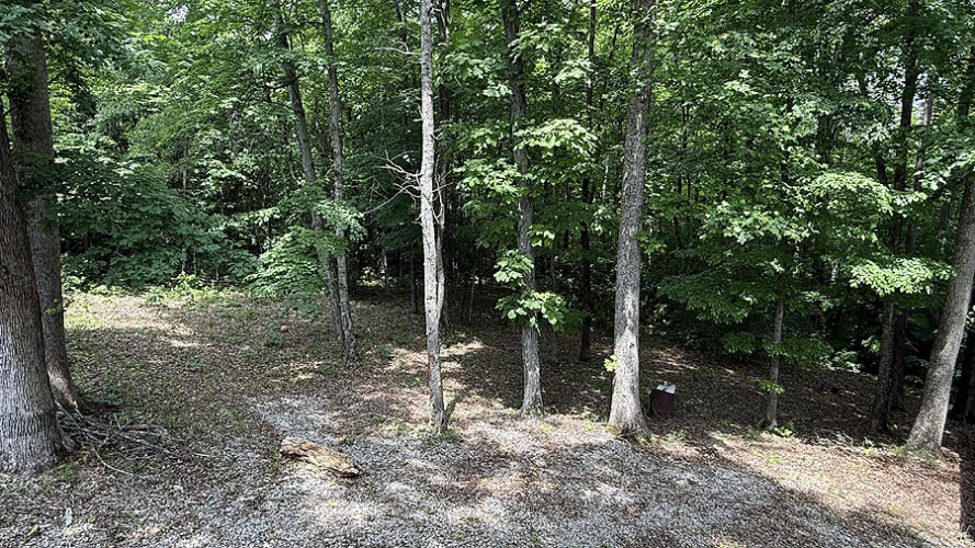 Listing Image 21