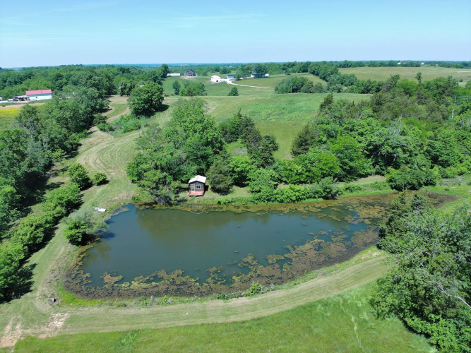 Listing Image 39
