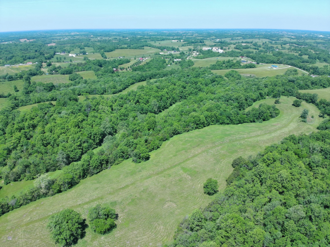 Listing Image 45