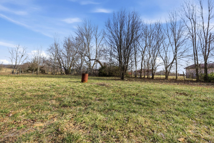 Listing Image 23