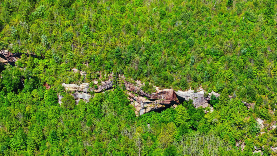 Listing Image 9