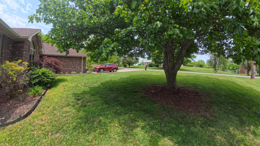 Listing Image 7