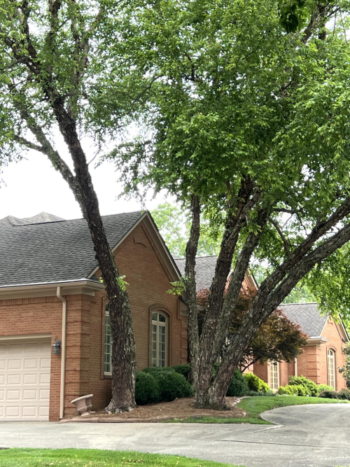 Listing Image 126