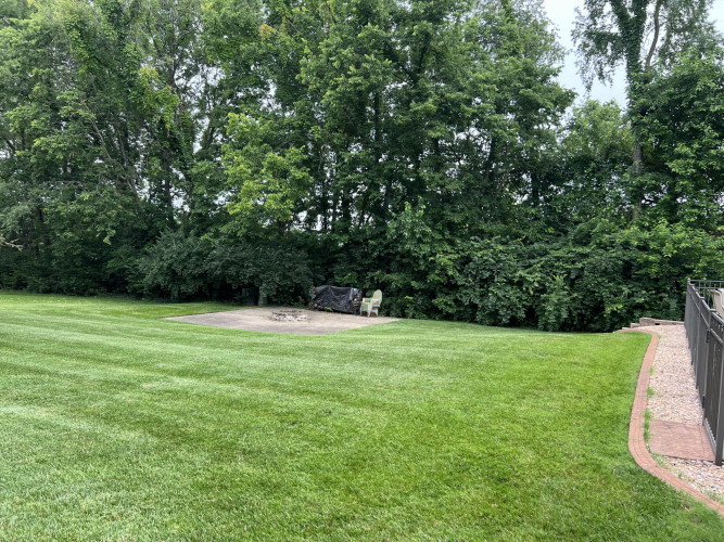 Listing Image 69
