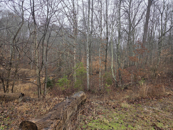 Listing Image 20