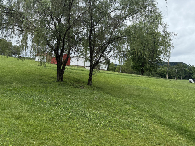 Listing Image 23