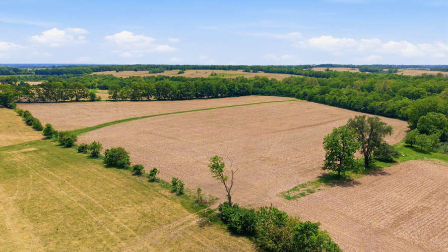 Listing Image 18