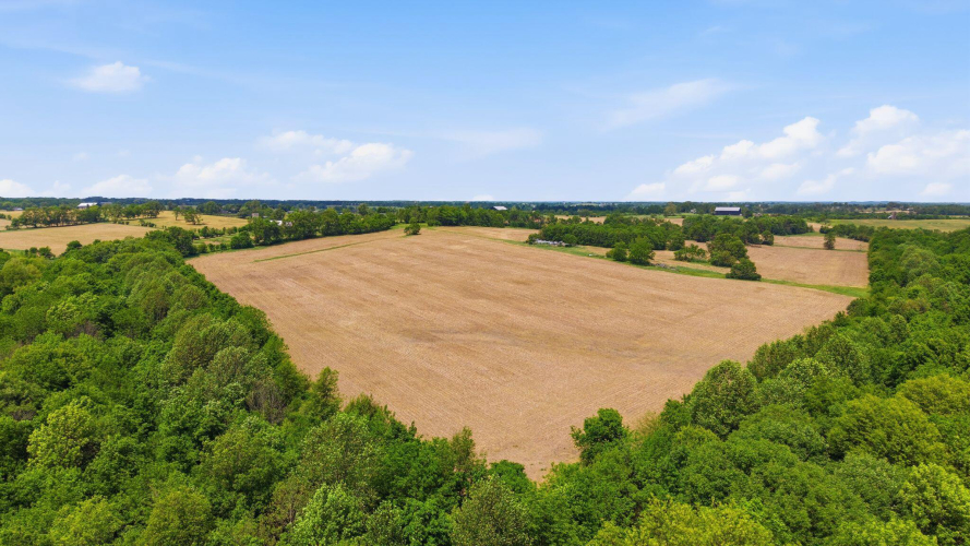 Listing Image 24